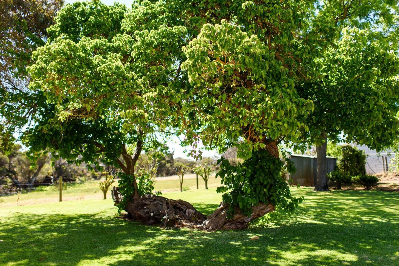 Gasthaus Fairlawn Estate Busselton Exterior foto