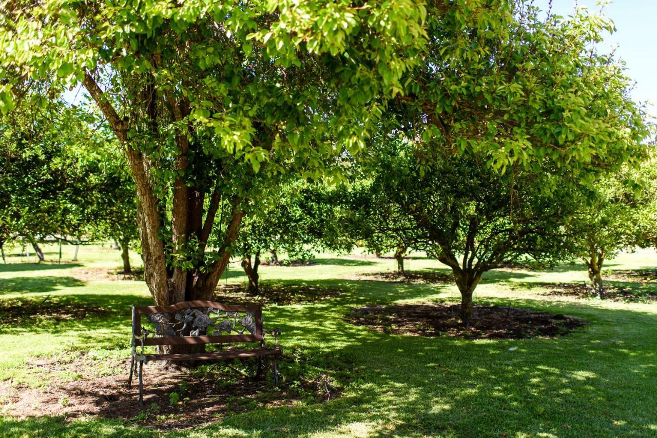Gasthaus Fairlawn Estate Busselton Exterior foto