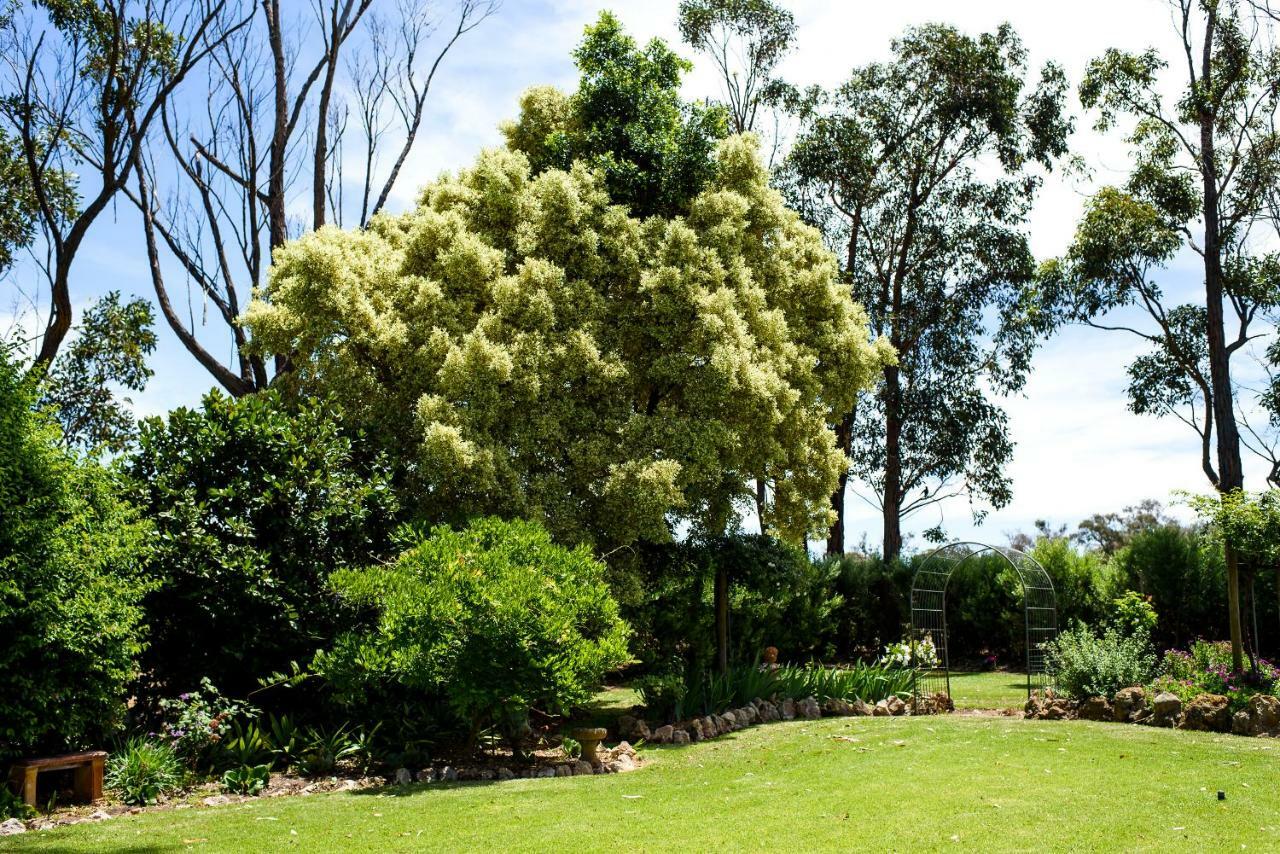 Gasthaus Fairlawn Estate Busselton Exterior foto