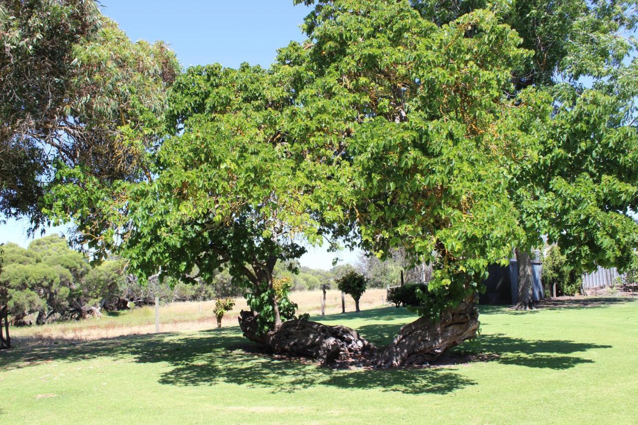 Gasthaus Fairlawn Estate Busselton Exterior foto